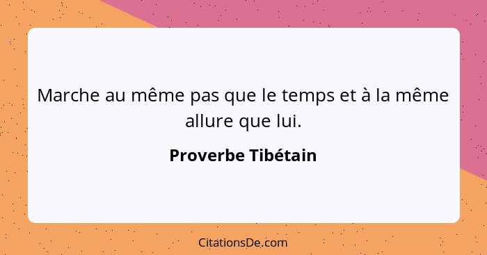 Marche au même pas que le temps et à la même allure que lui.... - Proverbe Tibétain