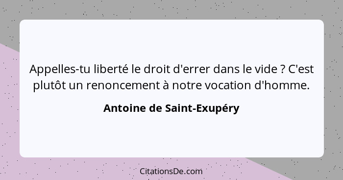 Appelles-tu liberté le droit d'errer dans le vide ? C'est plutôt un renoncement à notre vocation d'homme.... - Antoine de Saint-Exupéry