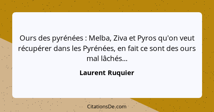 Ours des pyrénées : Melba, Ziva et Pyros qu'on veut récupérer dans les Pyrénées, en fait ce sont des ours mal lâchés...... - Laurent Ruquier