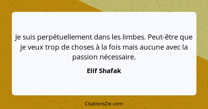 Je suis perpétuellement dans les limbes. Peut-être que je veux trop de choses à la fois mais aucune avec la passion nécessaire.... - Elif Shafak