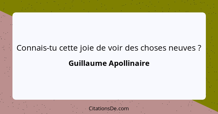 Connais-tu cette joie de voir des choses neuves ?... - Guillaume Apollinaire