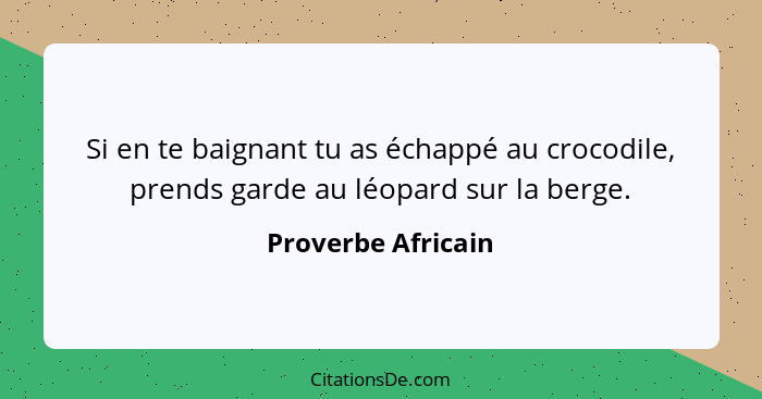 Si en te baignant tu as échappé au crocodile, prends garde au léopard sur la berge.... - Proverbe Africain