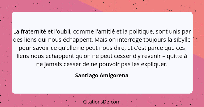 La fraternité et l'oubli, comme l'amitié et la politique, sont unis par des liens qui nous échappent. Mais on interroge toujours... - Santiago Amigorena