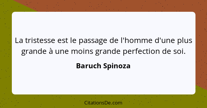 La tristesse est le passage de l'homme d'une plus grande à une moins grande perfection de soi.... - Baruch Spinoza