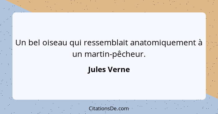 Un bel oiseau qui ressemblait anatomiquement à un martin-pêcheur.... - Jules Verne