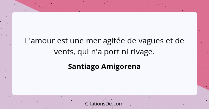 L'amour est une mer agitée de vagues et de vents, qui n'a port ni rivage.... - Santiago Amigorena