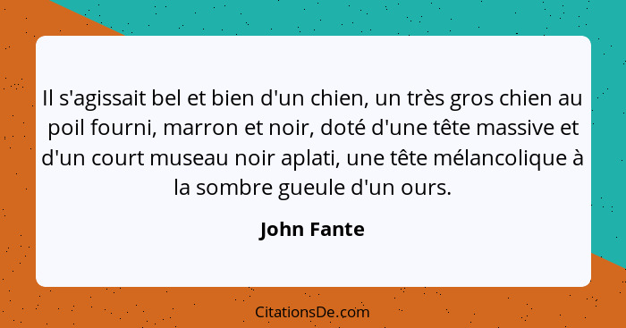 Il s'agissait bel et bien d'un chien, un très gros chien au poil fourni, marron et noir, doté d'une tête massive et d'un court museau noi... - John Fante