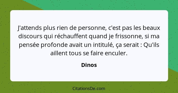 J'attends plus rien de personne, c'est pas les beaux discours qui réchauffent quand je frissonne, si ma pensée profonde avait un intitulé, ça... - Dinos