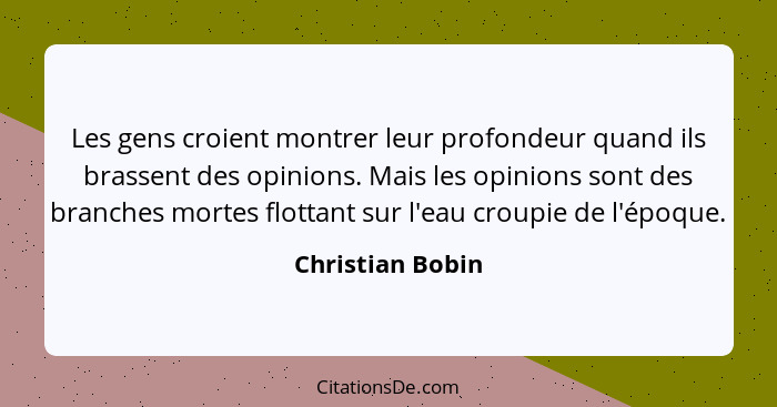 Les gens croient montrer leur profondeur quand ils brassent des opinions. Mais les opinions sont des branches mortes flottant sur l'... - Christian Bobin