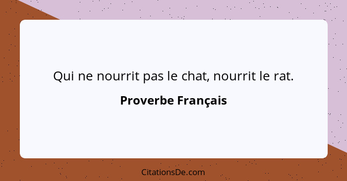 Qui ne nourrit pas le chat, nourrit le rat.... - Proverbe Français