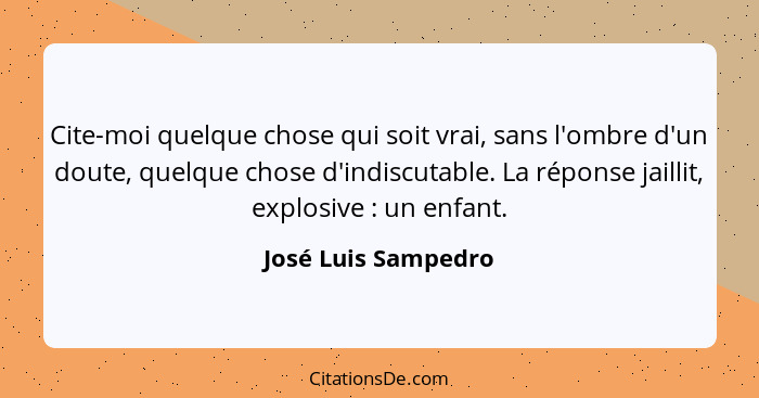 Cite-moi quelque chose qui soit vrai, sans l'ombre d'un doute, quelque chose d'indiscutable. La réponse jaillit, explosive :... - José Luis Sampedro