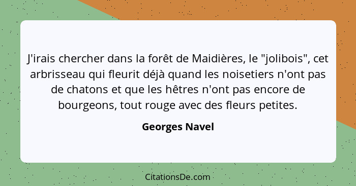 J'irais chercher dans la forêt de Maidières, le "jolibois", cet arbrisseau qui fleurit déjà quand les noisetiers n'ont pas de chatons... - Georges Navel