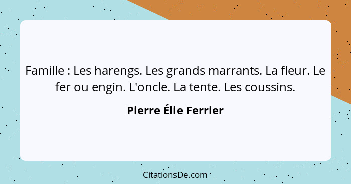 Famille : Les harengs. Les grands marrants. La fleur. Le fer ou engin. L'oncle. La tente. Les coussins.... - Pierre Élie Ferrier