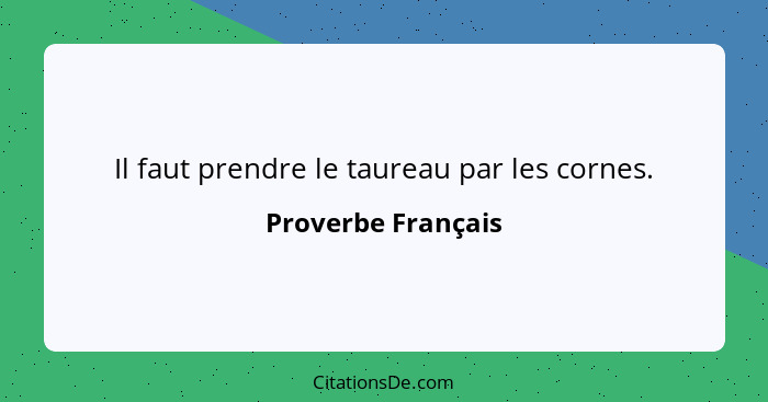 Il faut prendre le taureau par les cornes.... - Proverbe Français