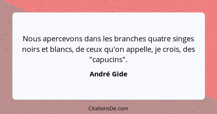 Nous apercevons dans les branches quatre singes noirs et blancs, de ceux qu'on appelle, je crois, des "capucins".... - André Gide