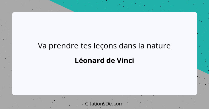 Va prendre tes leçons dans la nature... - Léonard de Vinci