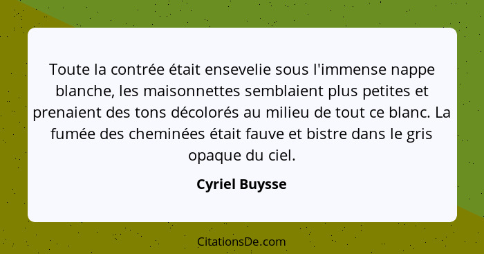 Toute la contrée était ensevelie sous l'immense nappe blanche, les maisonnettes semblaient plus petites et prenaient des tons décoloré... - Cyriel Buysse