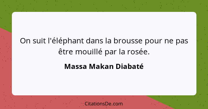 On suit l'éléphant dans la brousse pour ne pas être mouillé par la rosée.... - Massa Makan Diabaté