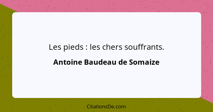 Les pieds : les chers souffrants.... - Antoine Baudeau de Somaize