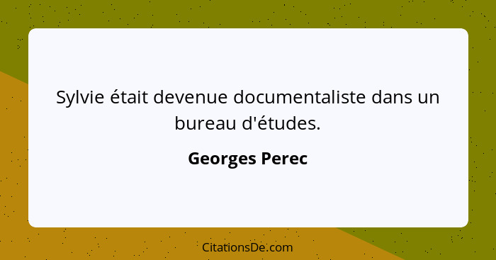 Sylvie était devenue documentaliste dans un bureau d'études.... - Georges Perec