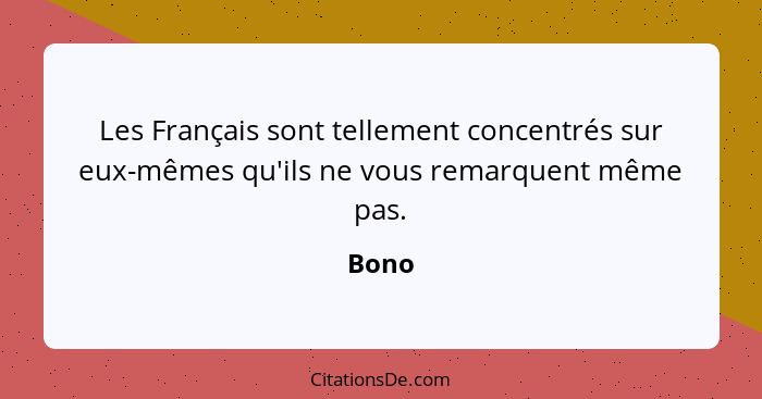 Les Français sont tellement concentrés sur eux-mêmes qu'ils ne vous remarquent même pas.... - Bono