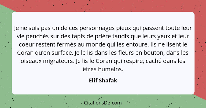 Je ne suis pas un de ces personnages pieux qui passent toute leur vie penchés sur des tapis de prière tandis que leurs yeux et leur coeu... - Elif Shafak