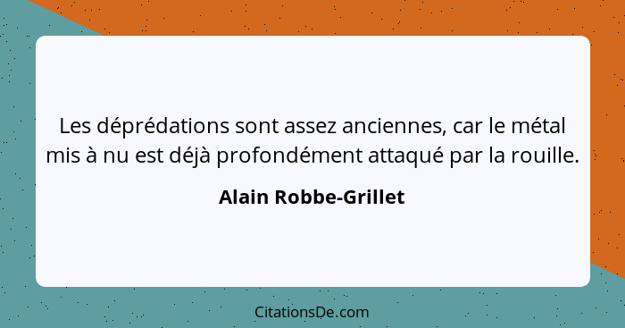 Les déprédations sont assez anciennes, car le métal mis à nu est déjà profondément attaqué par la rouille.... - Alain Robbe-Grillet