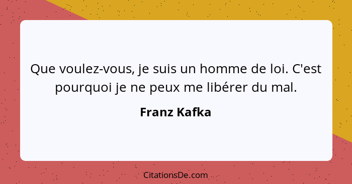 Que voulez-vous, je suis un homme de loi. C'est pourquoi je ne peux me libérer du mal.... - Franz Kafka