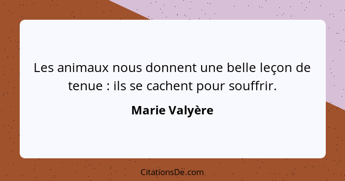 Les animaux nous donnent une belle leçon de tenue : ils se cachent pour souffrir.... - Marie Valyère