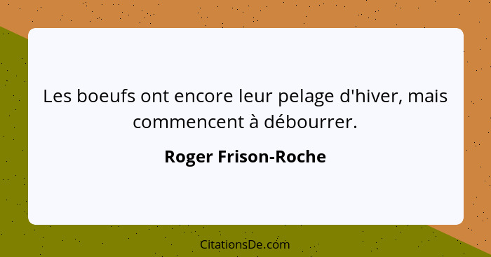 Les boeufs ont encore leur pelage d'hiver, mais commencent à débourrer.... - Roger Frison-Roche