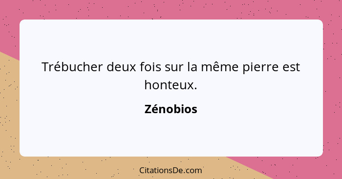 Trébucher deux fois sur la même pierre est honteux.... - Zénobios