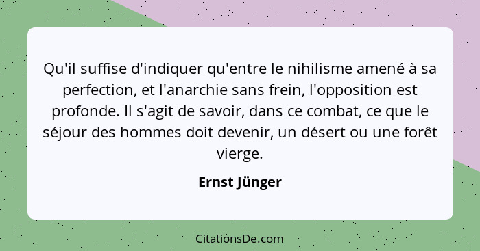 Qu'il suffise d'indiquer qu'entre le nihilisme amené à sa perfection, et l'anarchie sans frein, l'opposition est profonde. Il s'agit de... - Ernst Jünger