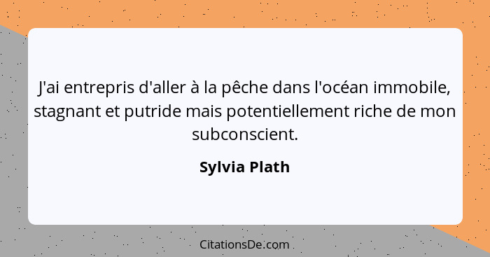 J'ai entrepris d'aller à la pêche dans l'océan immobile, stagnant et putride mais potentiellement riche de mon subconscient.... - Sylvia Plath