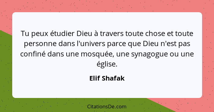 Tu peux étudier Dieu à travers toute chose et toute personne dans l'univers parce que Dieu n'est pas confiné dans une mosquée, une synag... - Elif Shafak