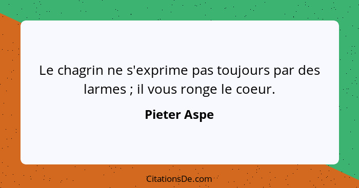 Le chagrin ne s'exprime pas toujours par des larmes ; il vous ronge le coeur.... - Pieter Aspe