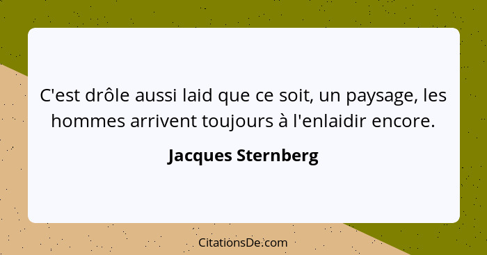 C'est drôle aussi laid que ce soit, un paysage, les hommes arrivent toujours à l'enlaidir encore.... - Jacques Sternberg