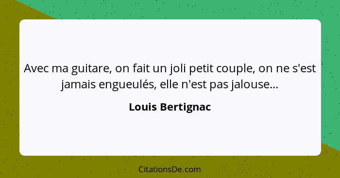 Avec ma guitare, on fait un joli petit couple, on ne s'est jamais engueulés, elle n'est pas jalouse...... - Louis Bertignac