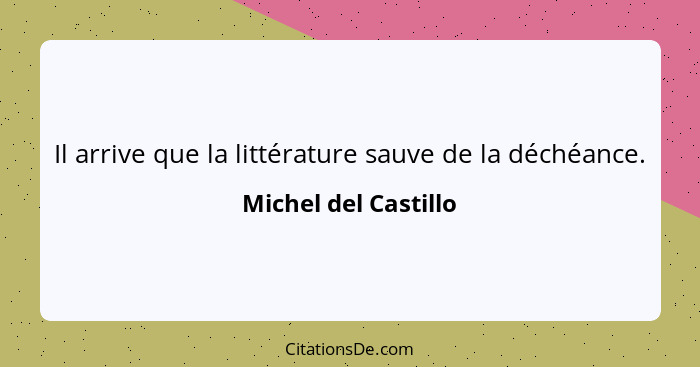 Il arrive que la littérature sauve de la déchéance.... - Michel del Castillo