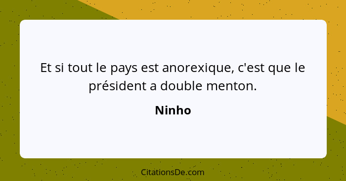 Et si tout le pays est anorexique, c'est que le président a double menton.... - Ninho