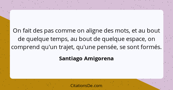 On fait des pas comme on aligne des mots, et au bout de quelque temps, au bout de quelque espace, on comprend qu'un trajet, qu'un... - Santiago Amigorena