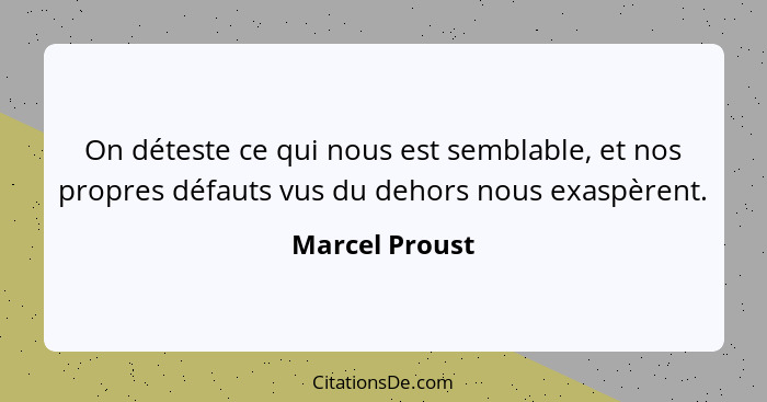 On déteste ce qui nous est semblable, et nos propres défauts vus du dehors nous exaspèrent.... - Marcel Proust