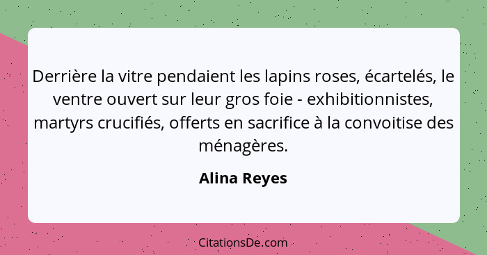 Derrière la vitre pendaient les lapins roses, écartelés, le ventre ouvert sur leur gros foie - exhibitionnistes, martyrs crucifiés, offe... - Alina Reyes