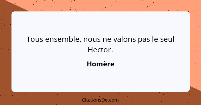 Tous ensemble, nous ne valons pas le seul Hector.... - Homère