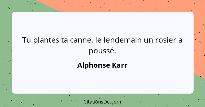 Tu plantes ta canne, le lendemain un rosier a poussé.... - Alphonse Karr