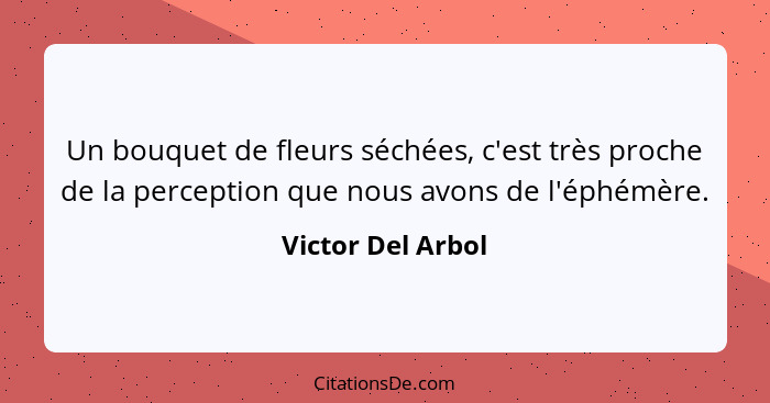Un bouquet de fleurs séchées, c'est très proche de la perception que nous avons de l'éphémère.... - Victor Del Arbol