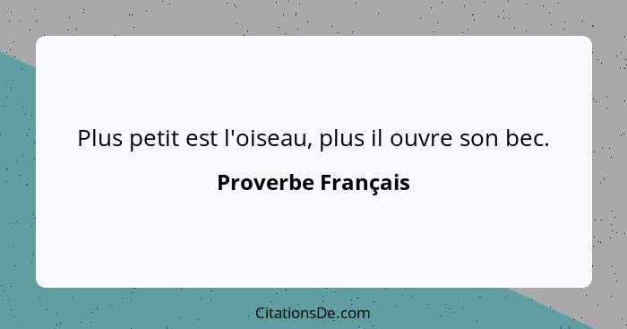 Plus petit est l'oiseau, plus il ouvre son bec.... - Proverbe Français