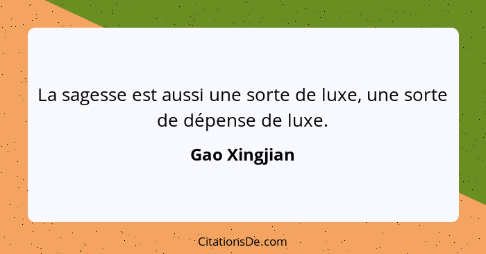 La sagesse est aussi une sorte de luxe, une sorte de dépense de luxe.... - Gao Xingjian