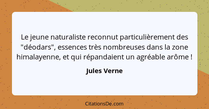 Le jeune naturaliste reconnut particulièrement des "déodars", essences très nombreuses dans la zone himalayenne, et qui répandaient un a... - Jules Verne