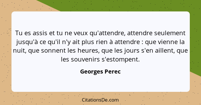 Tu es assis et tu ne veux qu'attendre, attendre seulement jusqu'à ce qu'il n'y ait plus rien à attendre : que vienne la nuit, que... - Georges Perec