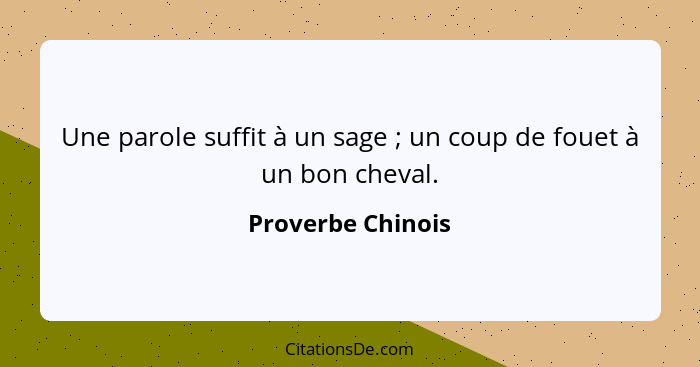 Une parole suffit à un sage ; un coup de fouet à un bon cheval.... - Proverbe Chinois